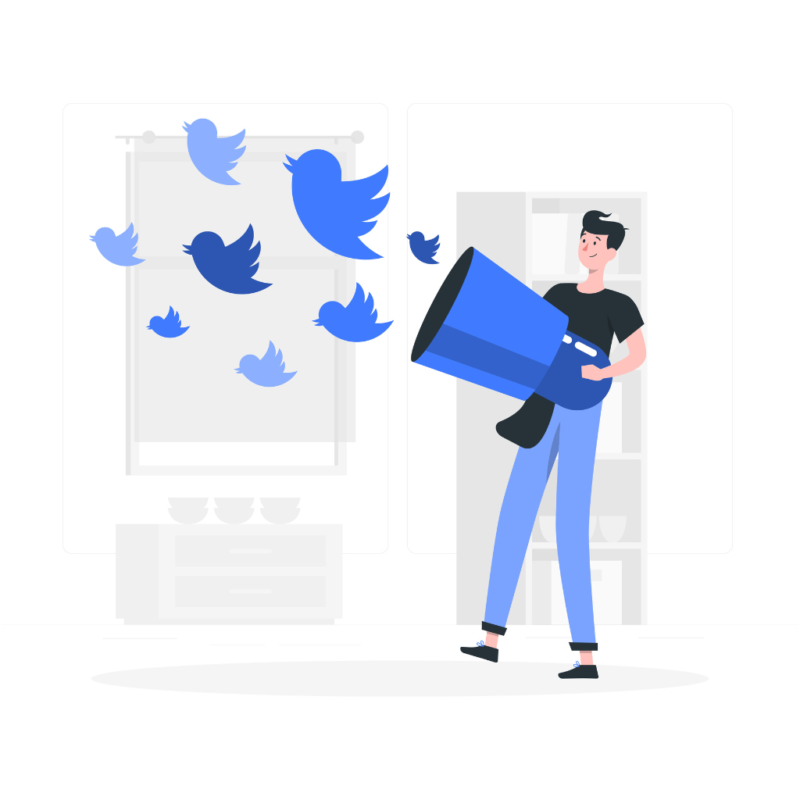 Twitter Promotional Services