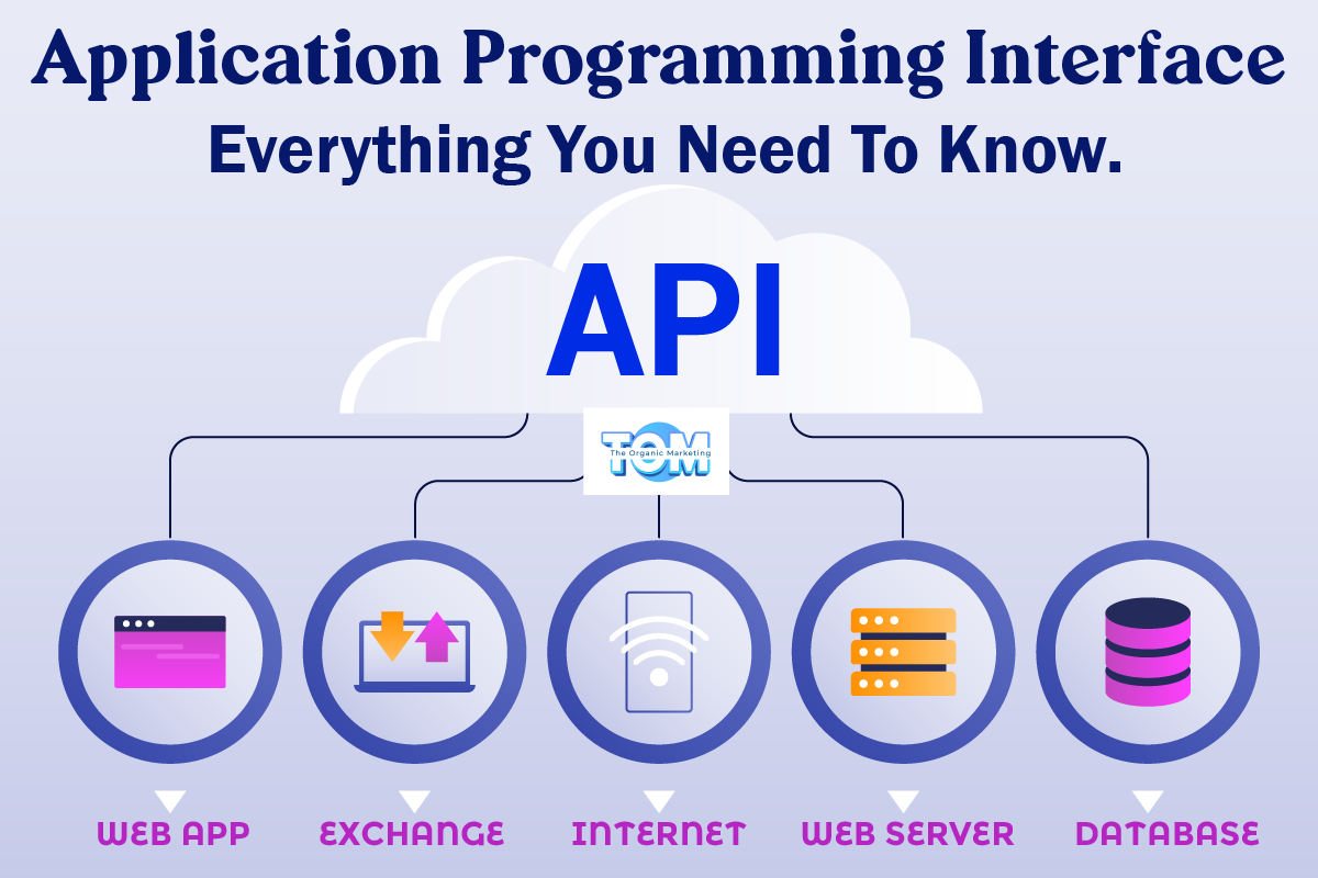 The Complete Guide To APIs